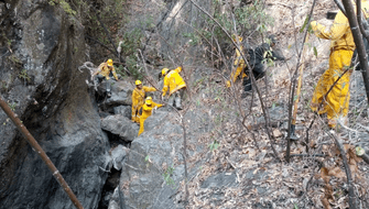 Tumbes: Incendio forestal afectó Parque Nacional Ceros de Amotape