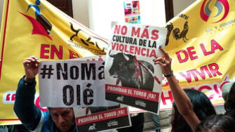 Colombia prohíbe definitivamente las corridas de toros