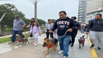 Miraflores: el distrito ideal para comprar tu casa y disfrutar de una vida cómoda junto a tu mascota Miraflores: el distrito ideal para comprar tu casa y disfrutar de una vida cómoda junto a tu mascota