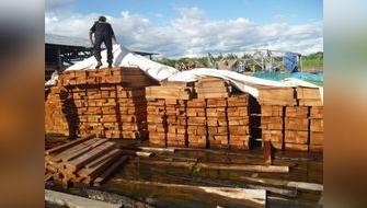 Dictan seis años de prisión efectiva contra traficante de madera