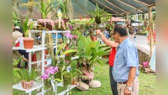Moyobamba será sede de Festival de la Orquídea 2025