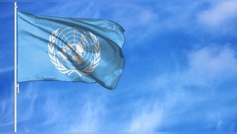 Cooperación internacional por un futuro más justo: ONU, 80 años en acción