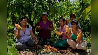 Emprendedores postulan a fondo para sus negocios ecoamigables