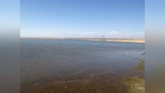 Microalga de laguna peruana acabaría con contaminación por metales