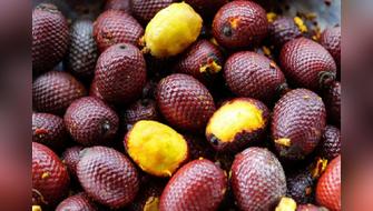 Concurso promueve consumo sostenible del aguaje