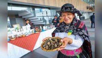 Feria internacional destacará enormes atributos de la maca