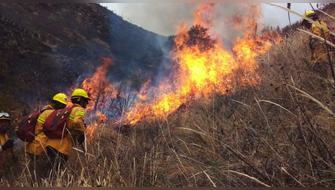 Incendio forestal arrasó más de 200 hectáreas de pastos en Arequipa