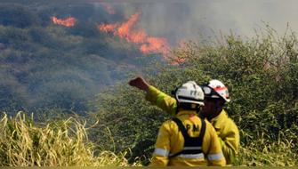 Áncash: Incendio forestal afecta sector del Parque Nacional Huascarán