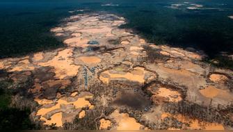 La imparable crisis de la deforestación