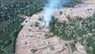 Huánuco: Defensores de la ACP Panguana bajo asedio y amenazas tras golpes a la minería ilegal en Yuyapichis