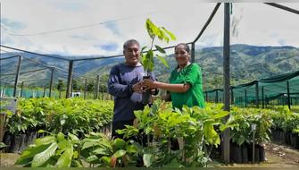 Más de 200,000 plantones recuperarán áreas degradadas de Ayacucho