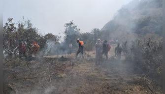 Incendio forestal arrasa con 15 hectáreas de bosque en La Libertad