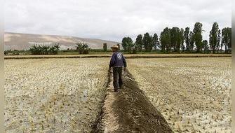 Nueva herramienta permitirá mejorar monitoreo y prevención de sequías