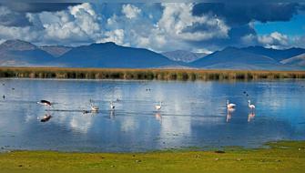 Aprueban Plan Maestro de Reserva Nacional de Junín