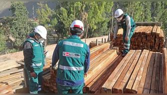 Perú produjo más de 2 millones de metros cúbicos de madera en el 2025