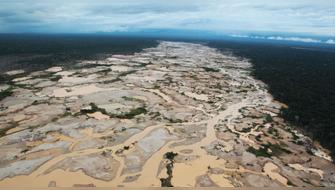 Diseñarán mapas regionales de ecosistemas y de áreas degradadas