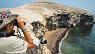 Aprueban Plan Maestro de la Reserva Nacional de Paracas