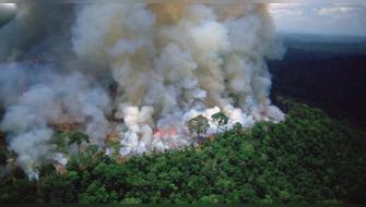 Brasil: Incendios en la Amazonía caen al nivel más bajo en casi 30 años