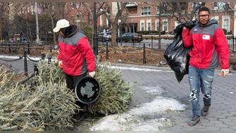EE.UU.: Nueva York recicla árboles de Navidad para nutrir sus parques