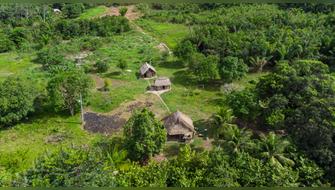Defensa de la Amazonía peruana: líderes indígenas y científicos marcaron avances históricos en 2025