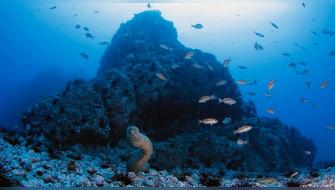 Corte Suprema ratifica postura del Sernanp y cierra las puertas a la pesca industrial en Áreas Naturales Protegidas