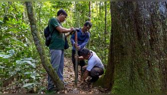 Destinan S/4,5 millones para conservación de los bosques