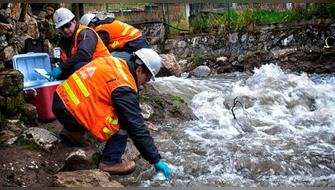 Ordenan a Antamina implementar medidas de remediación