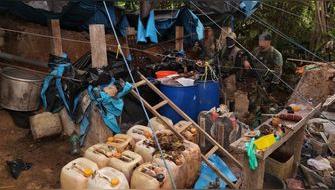 Destruyen más de 7 toneladas de hoja de coca ilegal en el Vraem