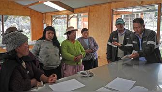 Pequeñas productoras salen adelante con hongos comestibles