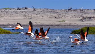 Impulsan nueva área de conservación en la región Arequipa
