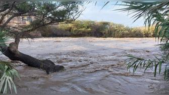 Ica: Tierras de cultivo en peligro por desborde de río Pisco