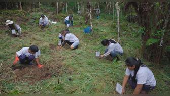 Pasco: Inician reforestación de 1,000 árboles nativos para salvar los bosques de Oxapampa