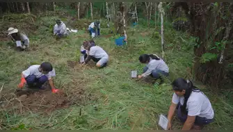 Pasco: Inician reforestación de 1,000 árboles nativos para salvar los bosques de Oxapampa