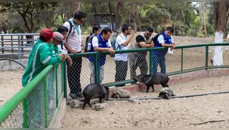 Iquitos: Centros de rescate de animales reciben máxima calificación