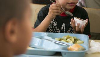 Francia: Niños están expuestos a altos niveles de metales tóxicos