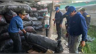 Incautan casi 20 toneladas de carbón ilegal en Áncash