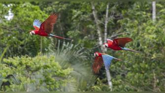 Perú presenta Informe Nacional al Convenio sobre Diversidad Biológica