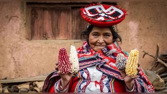 Casi un millón de mujeres impulsa producción agraria en el país