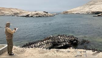 Cerca de 70 especialistas vigilan las islas del Perú