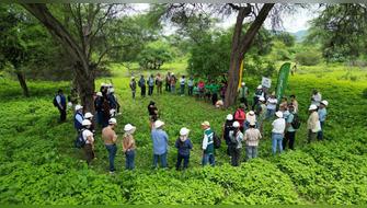 Piura reafirma su compromiso con el aprovechamiento sostenible de la algarroba