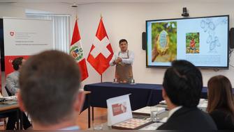 El Programa SIPPO lanza su fase 2026-2029: Sostenibilidad e inteligencia comercial para conquistar Europa