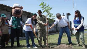 Cuartel del Ejército Peruano es arborizado con 700 plantones