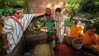 Más de 2 mil indígenas en la Amazonía peruana demuestran que la protección de sus bosques no está reñida con el desarrollo