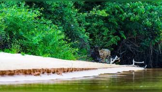 Brasil amplía dos áreas protegidas asentadas en el Pantanal