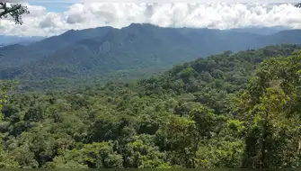 San Martín a punto de sincerar sus bosques: ¿Qué ganan realmente las comunidades? con la nueva zonificación forestal?
