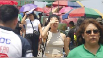 Fenómeno climático: vientos de hasta 38 km/h azotarán la costa peruana