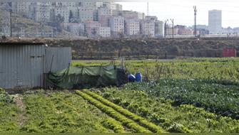 Sostenibilidad: Barcelona pierde el 70% de su suelo agrícola cultivable