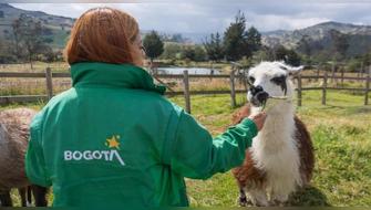 Colombia da enorme paso contra la explotación animal