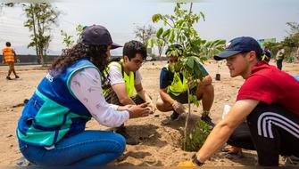 Perú busca plantar 2,5 millones de árboles solo en el primer semestre del 2026