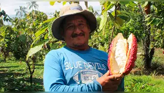 Productores de cacao se benefician con entrega de abono orgánico